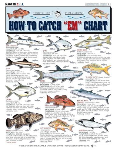 What Is King Fish: Origins, Types, Flavor, And .